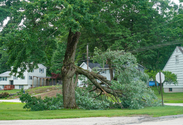 Best Utility Line Clearance  in Oak Ridge, NC